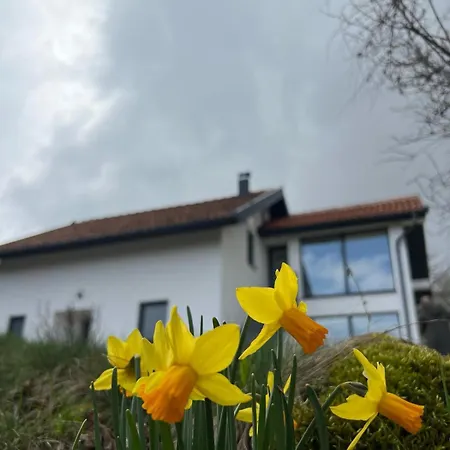 Kuca Za Odmor Rosa *